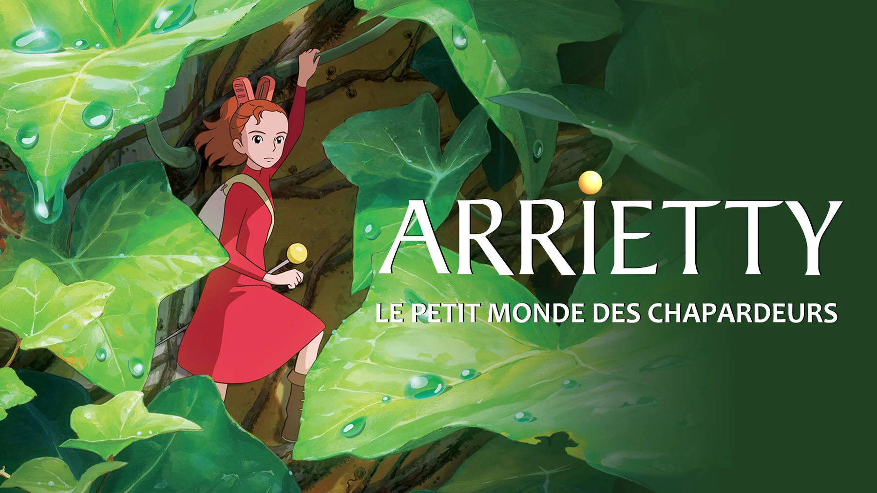 video-section-banner-image
