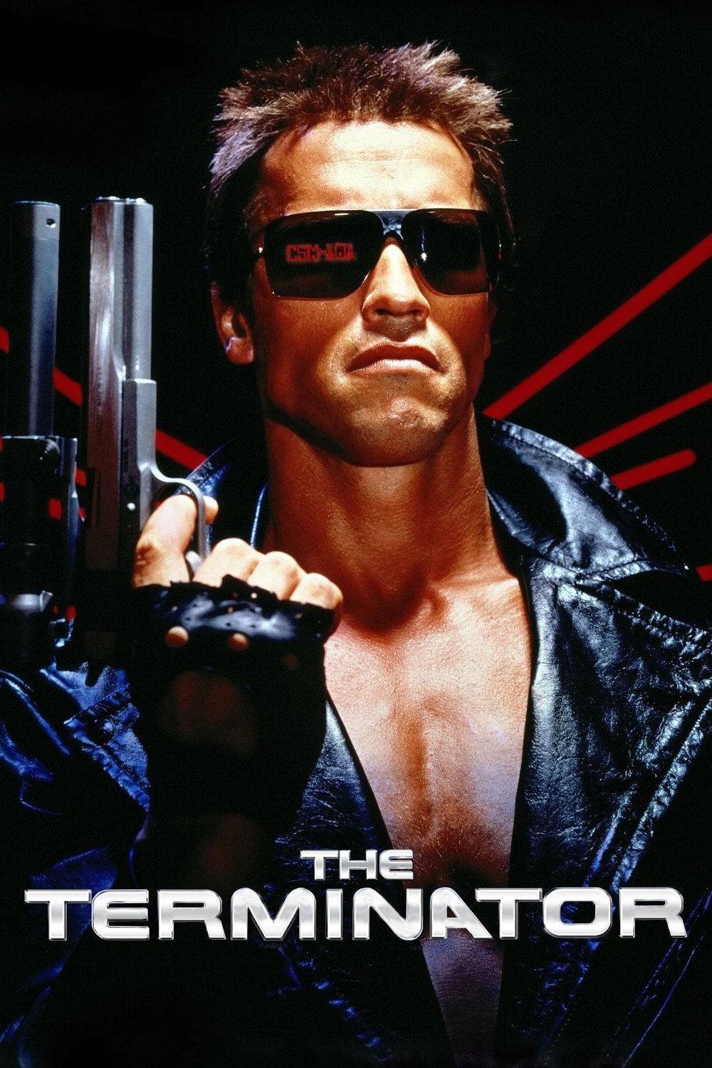 the-terminator