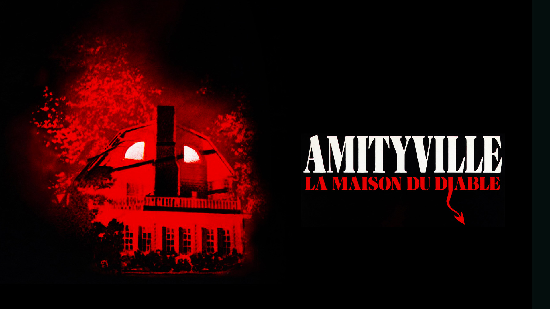 video-section-banner-image
