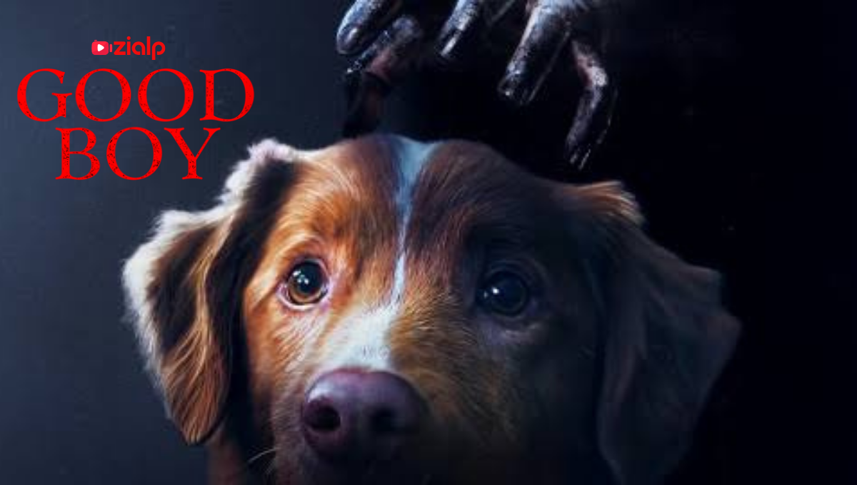 video-section-banner-image